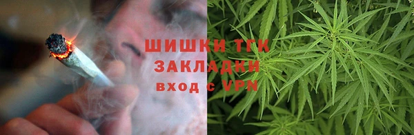 apvp Белокуриха
