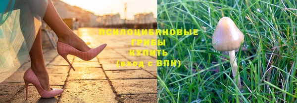 ALPHA-PVP Беломорск