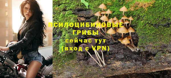apvp Белокуриха