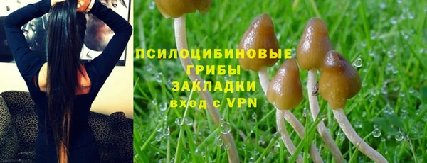 стаф Белоозёрский