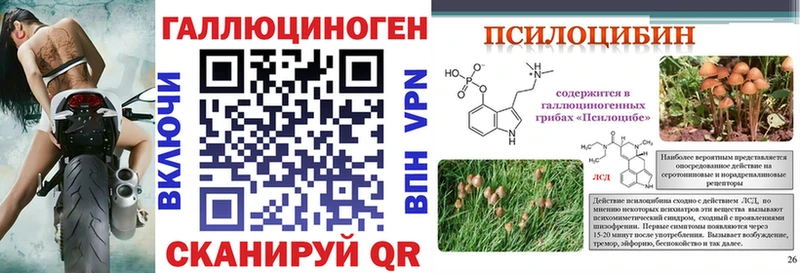 Галлюциногенные грибы Psilocybine cubensis  ссылка на мегу как зайти  Енисейск 